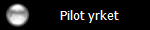 Pilot yrket